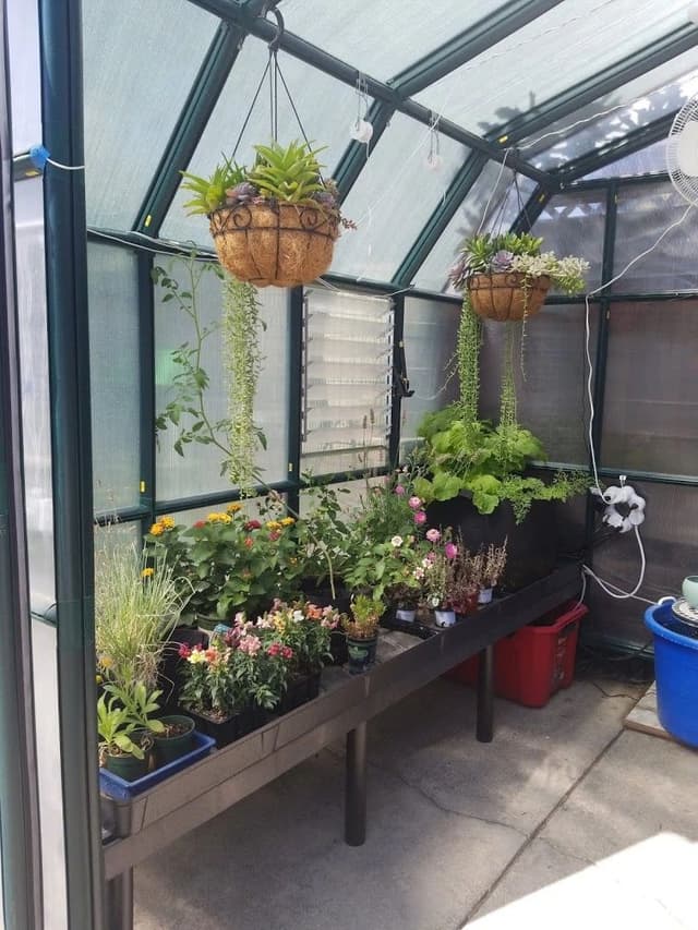Backyard Recipes
